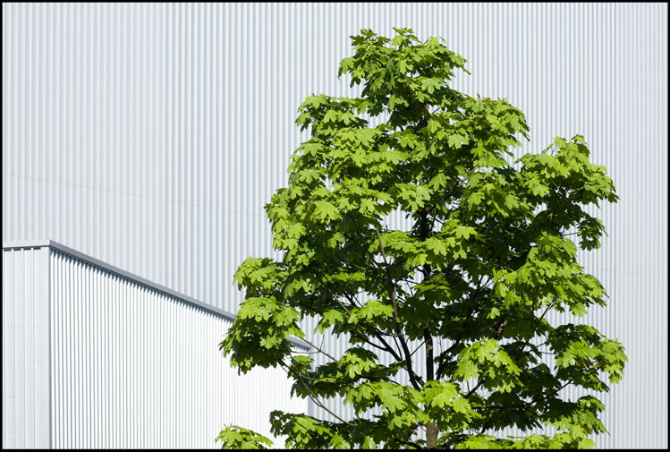 Umwelt und Industrie